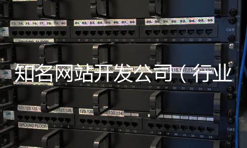 知名网站开发公司(行业网站开发公司)
